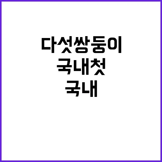 다섯쌍둥이! 윤 대…