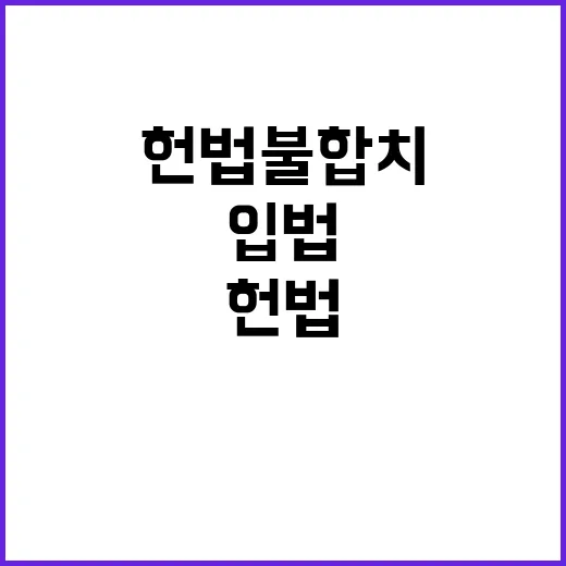 헌법불합치 개선입법 이은애 퇴임의 메시지!