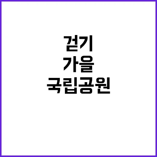 국립공원 7곳 가을 걷기 명소 공개!