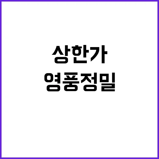 상한가 영풍정밀 인사 배임 고소 소식 전해져!