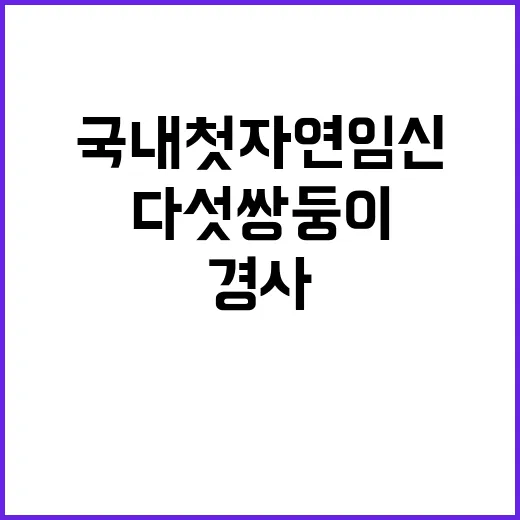 다섯 쌍둥이 국내 첫 자연임신 경사 소식!