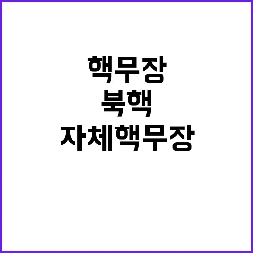 북핵 억제 자체 핵…