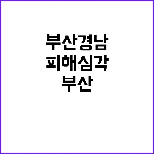 극한 호우 부산 경…