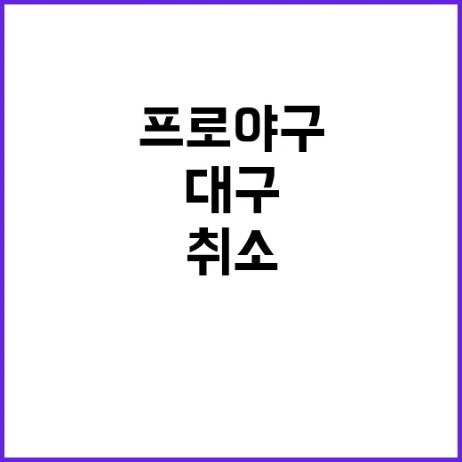 비의 속삭임…프로야구 경기 대전·대구·광주 취소!