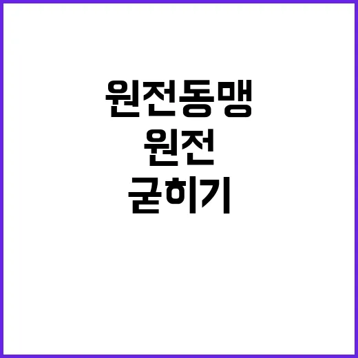 원전 동맹 백년의 미래를 위한 굳히기 비결!