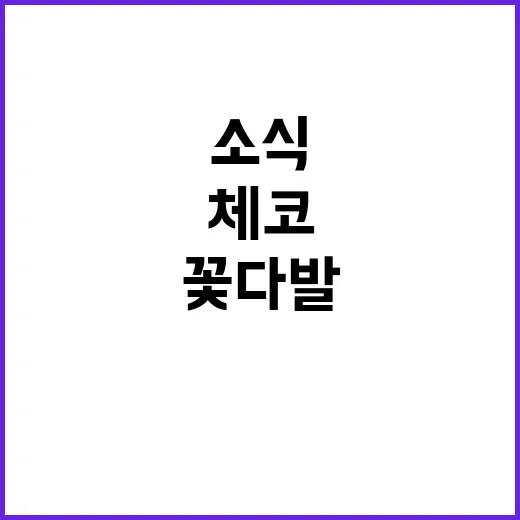 체코 방문 꽃다발 …