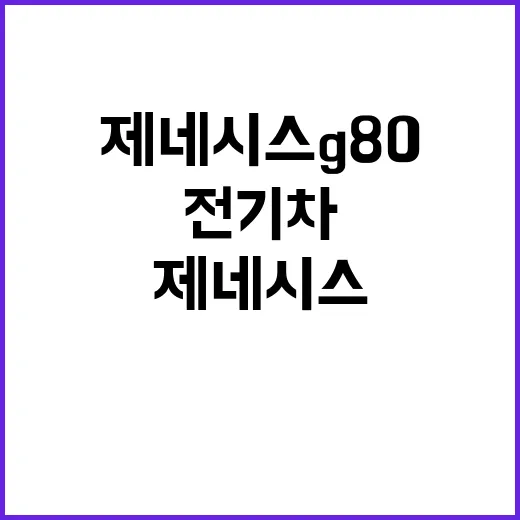 전기차 혁명 우아한 제네시스 G80과 최신 혼다