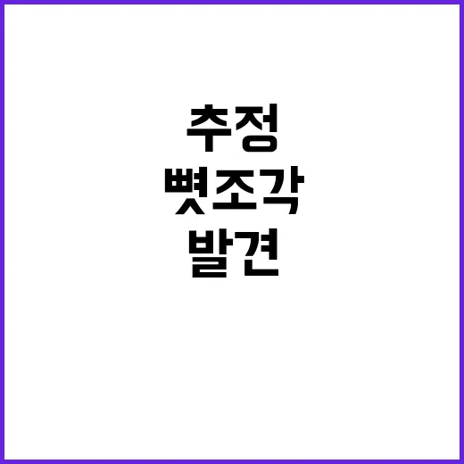 발견된 뼛조각 1년…