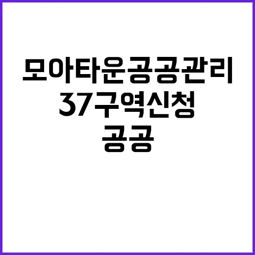 모아타운 공공관리 37구역 신청 폭주 이유는?