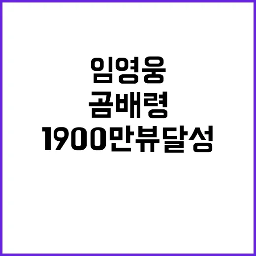 곰배령 영상 임영웅 1900만뷰 달성한 이유!