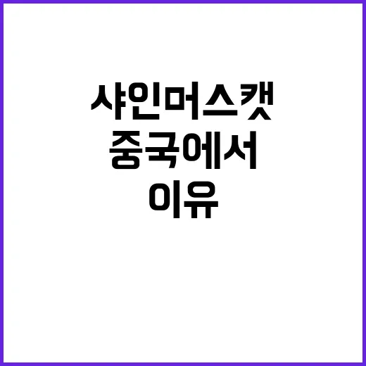 샤인머스캣 중국에서 인기 급락 이유?