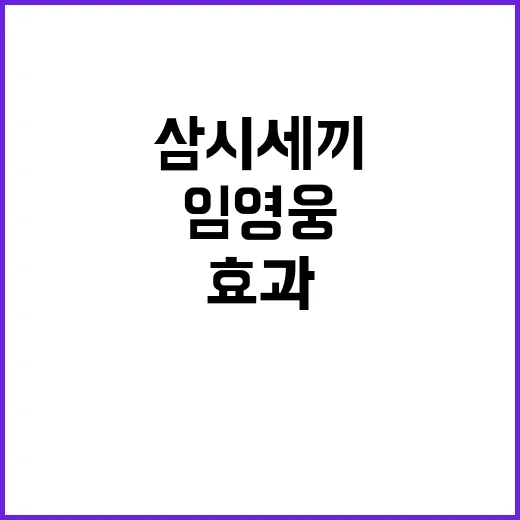 임영웅 효과! 삼시…