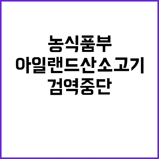 아일랜드산 소고기 검역 중단 농식품부의 결정!