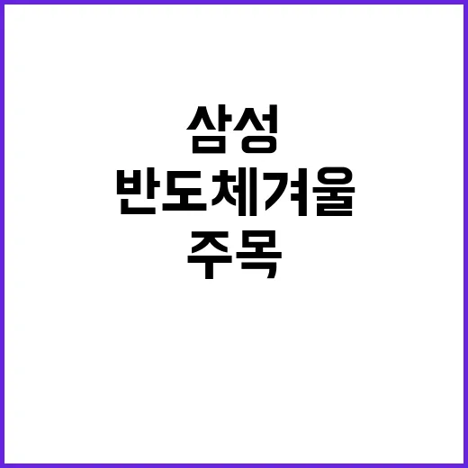 반도체 겨울 삼성전…