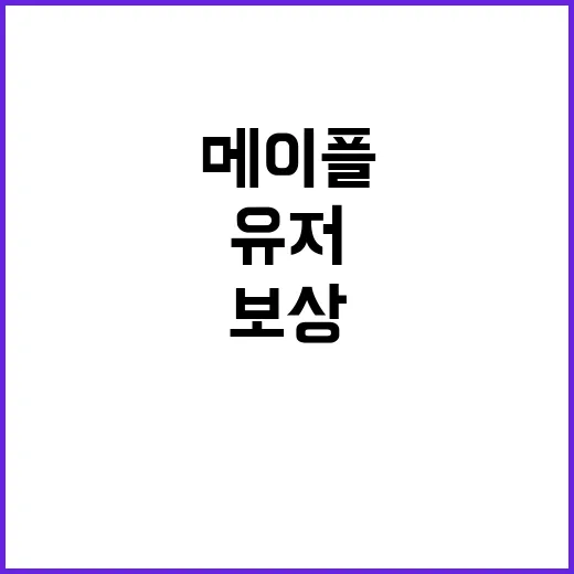 메이플 역대급 보상…