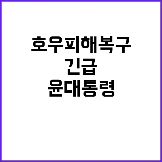 호우피해 복구 윤 대통령의 긴급 요청과 다짐!