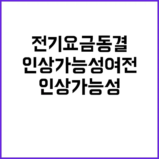 전기요금 동결 인상 가능성 여전한 상황 분석!