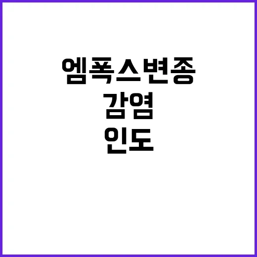 엠폭스 변종 인도에…