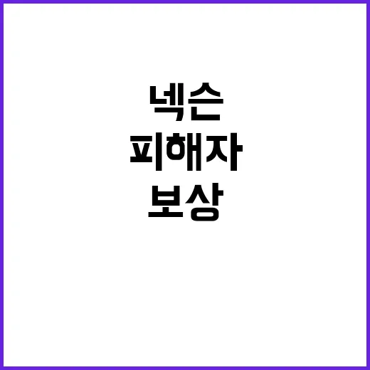 넥슨 피해자 보상으…