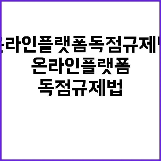 온라인 플랫폼 독점…