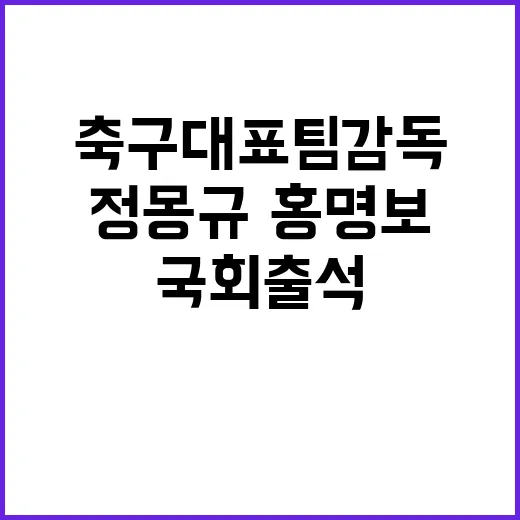 축구대표팀 감독 정몽규·홍명보 국회 출석의 미스터리?