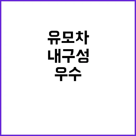 유모차 비교 우수 …