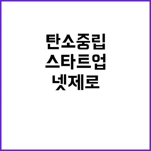 넷제로 챌린지X 탄…