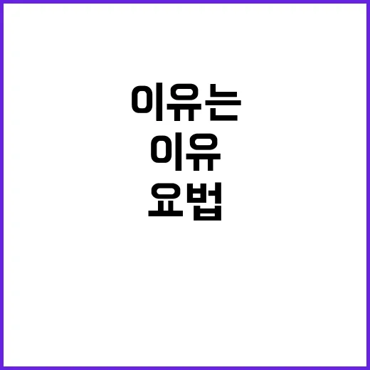 충격요법 헤즈볼라에…