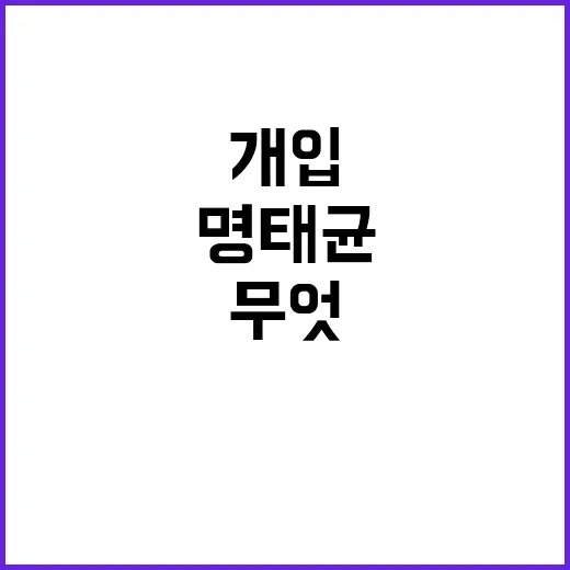 여론조사 명태균 개…