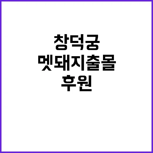 멧돼지 출몰…창덕궁 후원 수색 후 사살 사건!