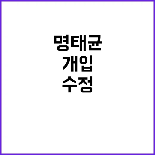 명태균의 여론조사 …