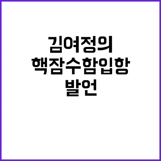 핵잠수함 입항 김여…