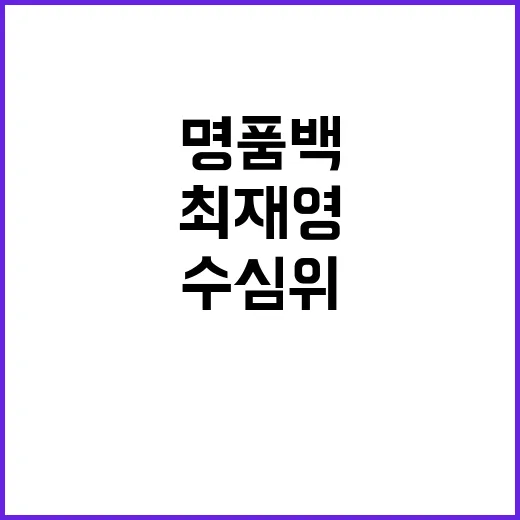 명품백 결론 최재영 수심위 오후 늦게 발표!