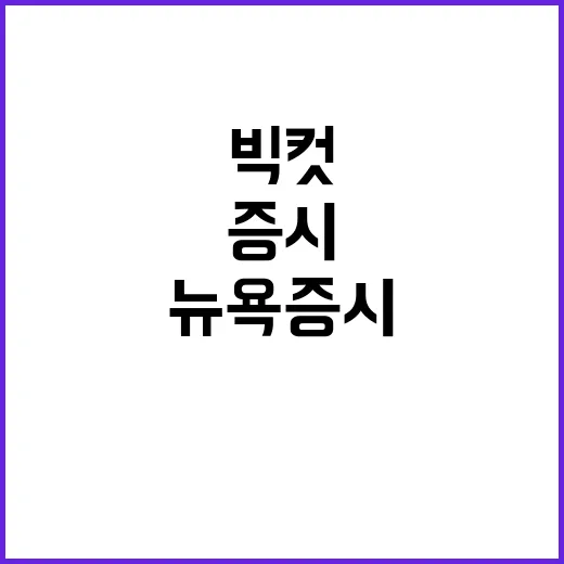 빅컷 효과 뉴욕증시…