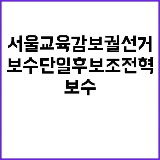 보수 단일후보 조전…