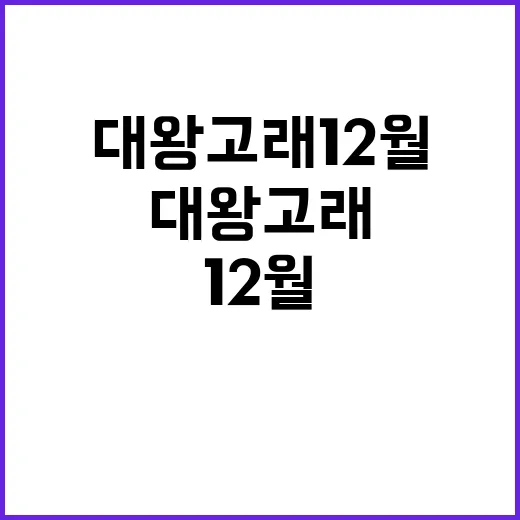 대왕고래 12월 새…