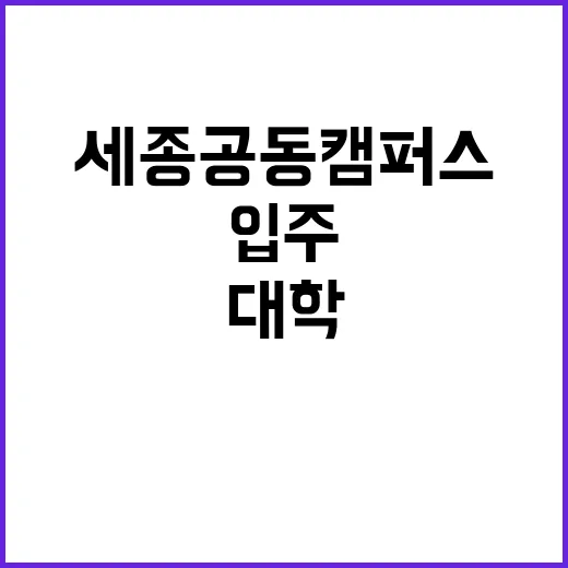 세종 공동캠퍼스 개…