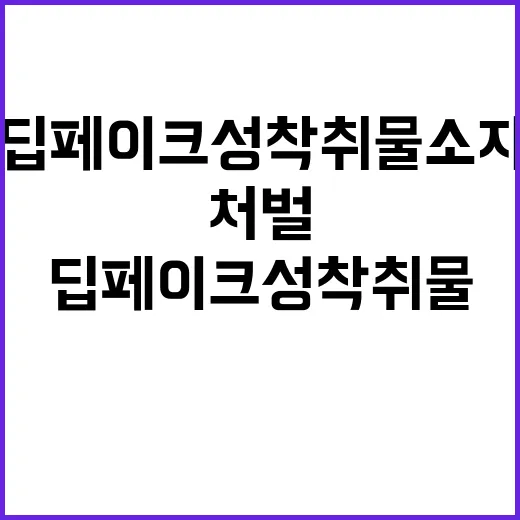 딥페이크 성착취물 …