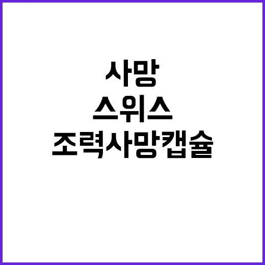 조력사망 캡슐 스위…