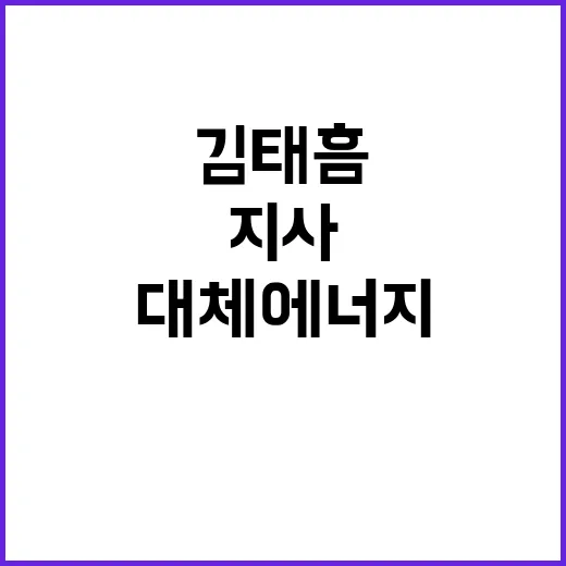 대체 에너지 김태흠…