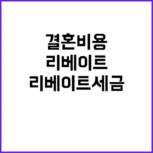 결혼 비용 리베이트…