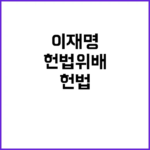 이재명 헌법 위배 민주당 입장 반대 선언!