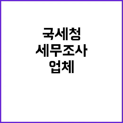 국세청 47개 업체 세무조사 사건 발각!