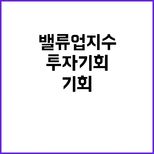 밸류업 지수 정량적 지표로 투자 기회 포착!