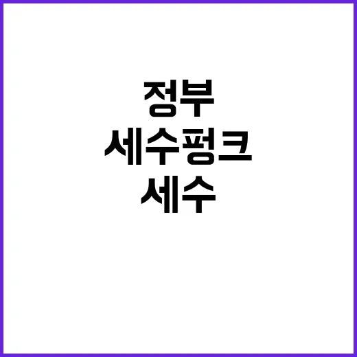 세수 펑크…정부 대…