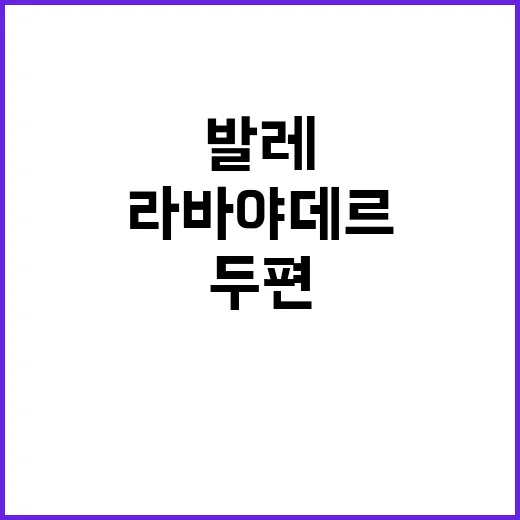 발레 대작 라 바야데르 두 편 동시 상연!