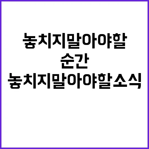 헤드라인 지금 이 순간 놓치지 말아야 할 소식!