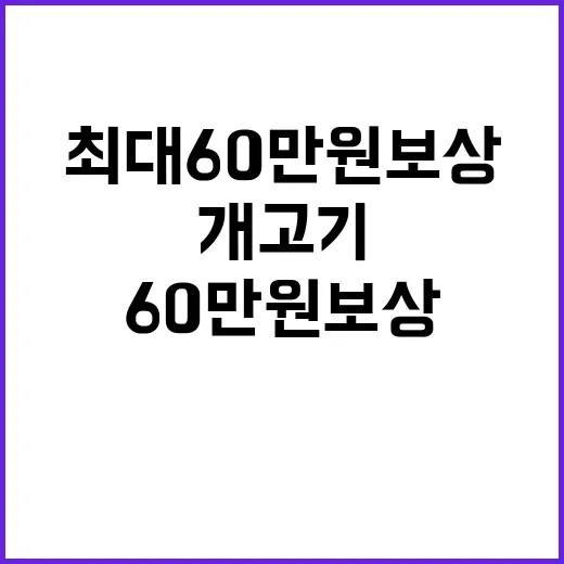 개고기 금지 최대 60만원 보상 대책 발표!