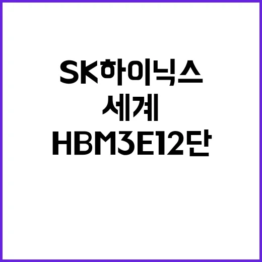 “HBM3E 12단 SK하이닉스 세계 첫 양산 성공!”