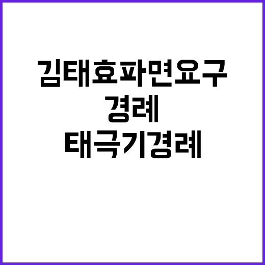 태극기 경례 논란 야당 김태효 파면 요구!